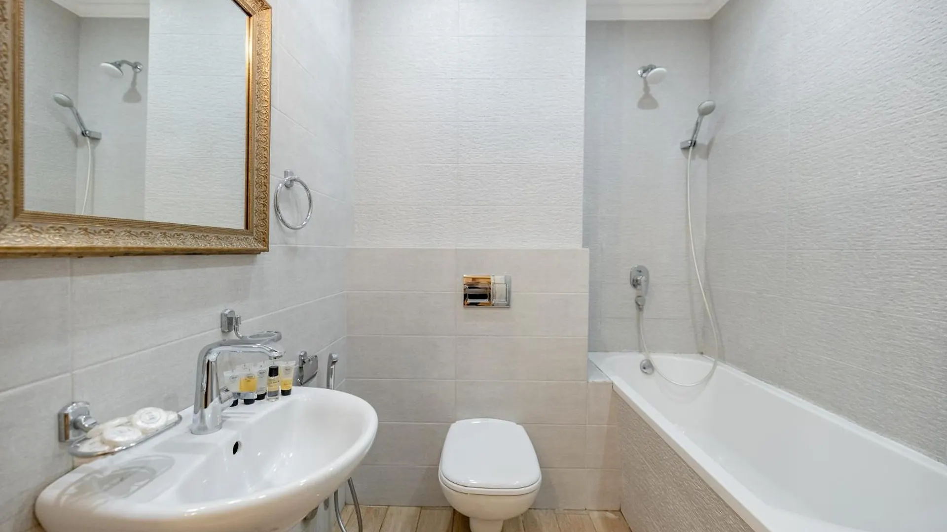 Apartment On Rustaveli Avenue Τυφλίδα