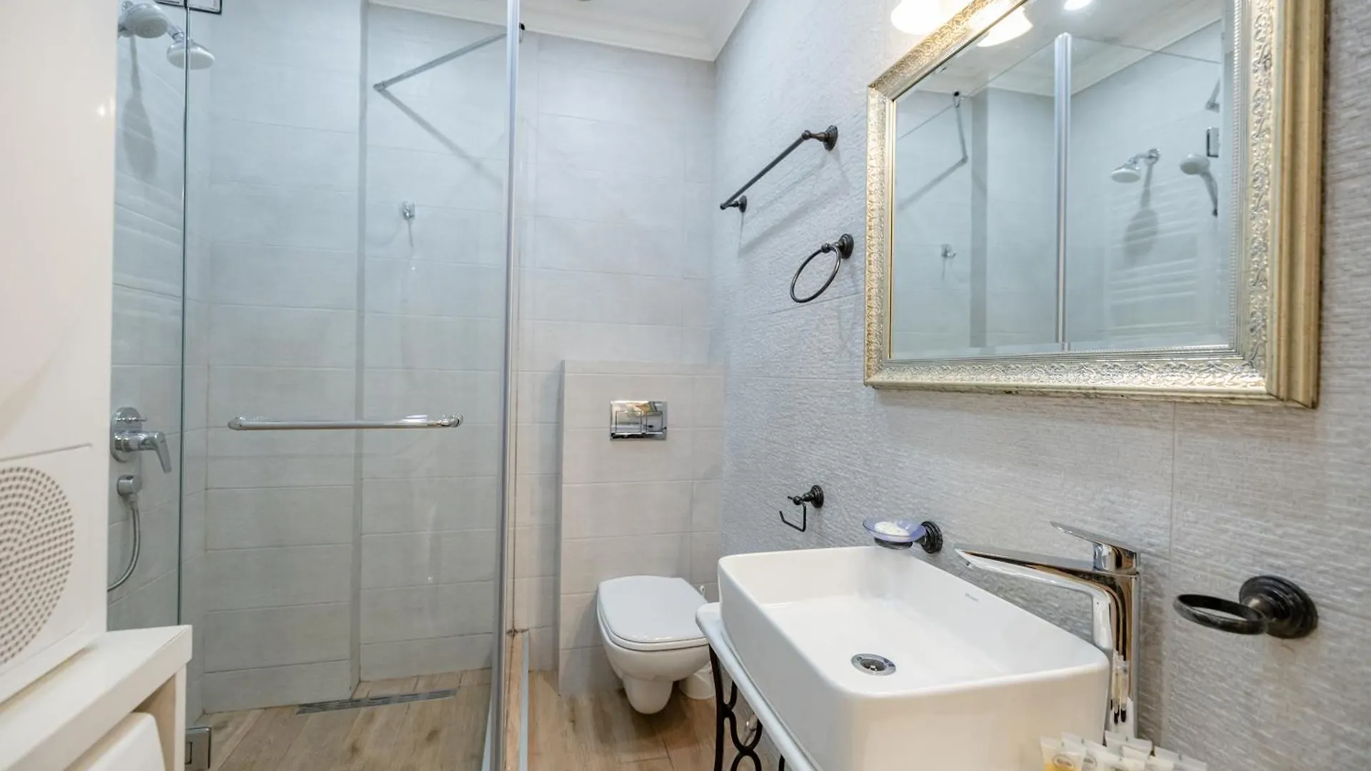 Apartment On Rustaveli Avenue Τυφλίδα Γεωργία
